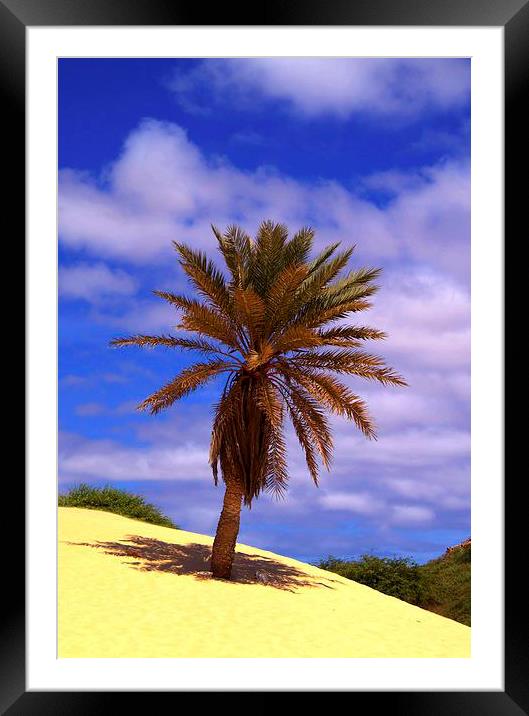 Tropical Island Palm Tree Framed Mounted Print by Brian  Raggatt