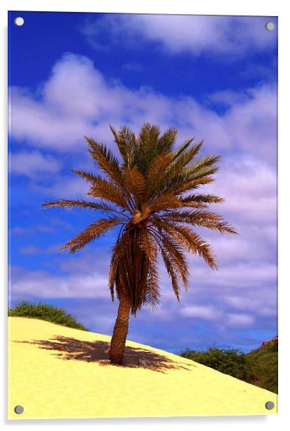 Tropical Island Palm Tree Acrylic by Brian  Raggatt