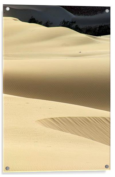 Island Desert Dunes Acrylic by Brian  Raggatt
