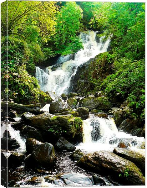 Torc Waterfall Canvas Print by Gisela Scheffbuch