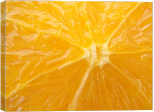 Fresh Orange closeup Canvas Print by Matthias Hauser