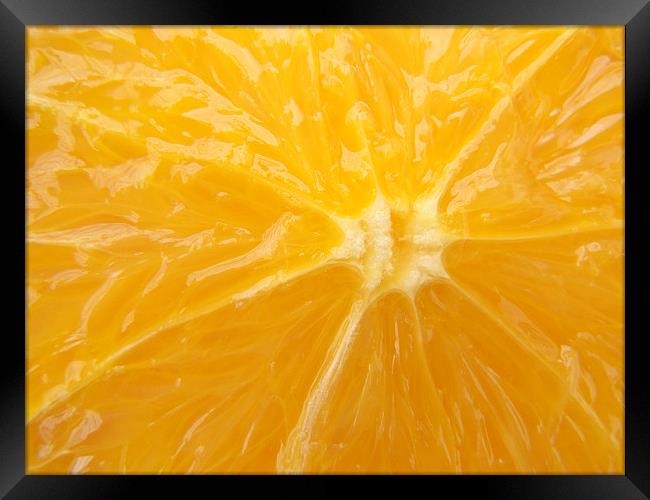 Fresh Orange closeup Framed Print by Matthias Hauser