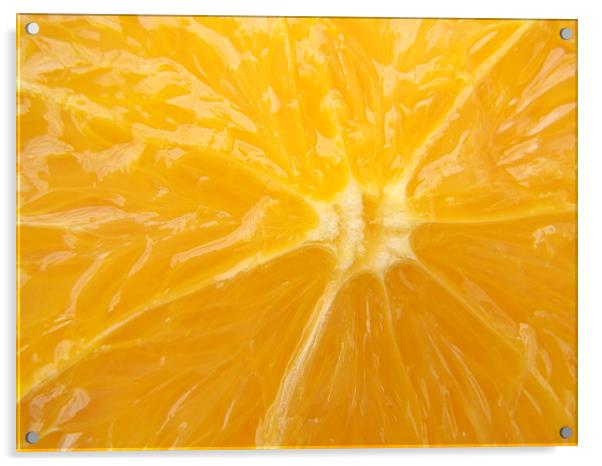 Fresh Orange closeup Acrylic by Matthias Hauser