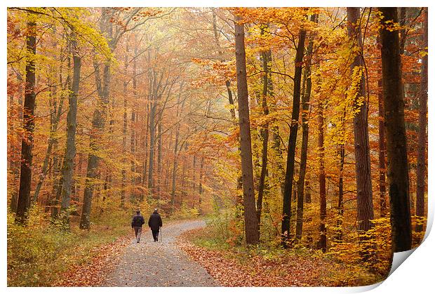 Forest in autumn Schoenbuch Germany Print by Matthias Hauser