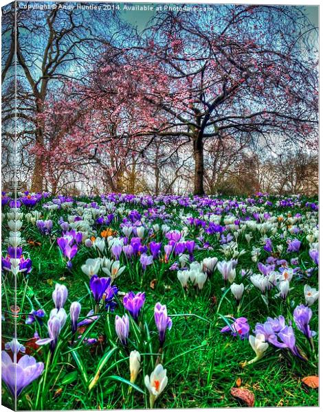 Springtime in the Park Canvas Print by Andy Huntley