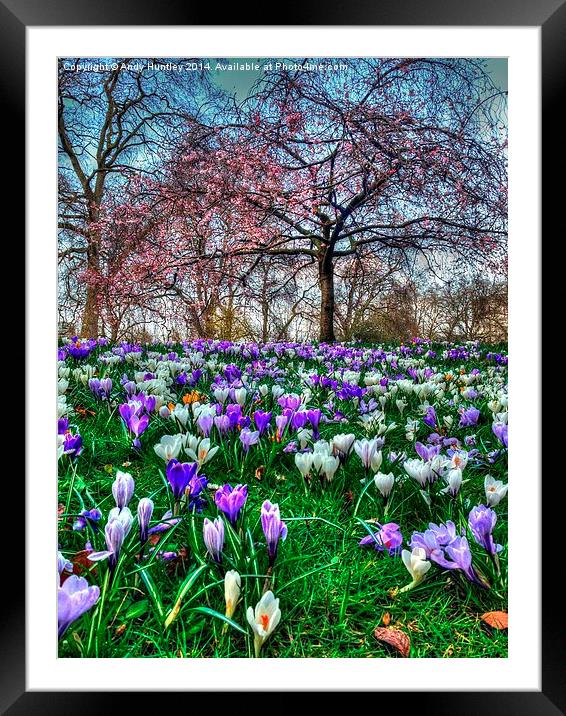 Springtime in the Park Framed Mounted Print by Andy Huntley
