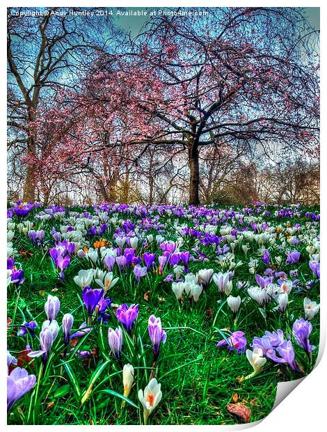 Springtime in the Park Print by Andy Huntley
