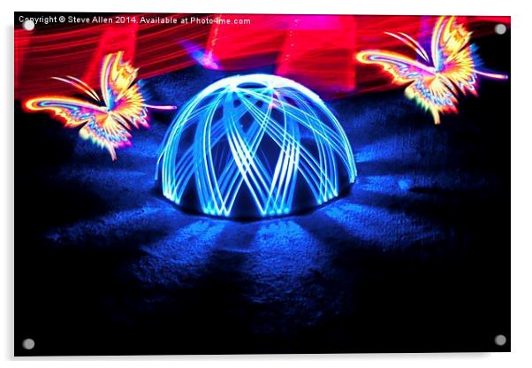 Butterfly Dome Acrylic by Steve Allen