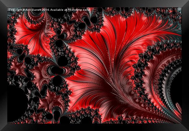 Red on Black Macro - A Fractal Abstract Framed Print by Ann Garrett