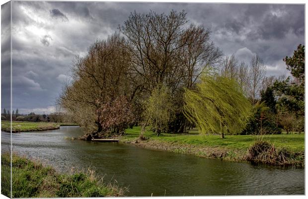 Trees by the river Canvas Print by Thanet Photos