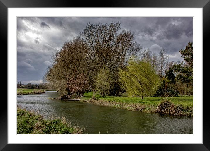 Trees by the river Framed Mounted Print by Thanet Photos