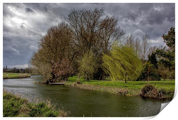 Trees by the river Print by Thanet Photos