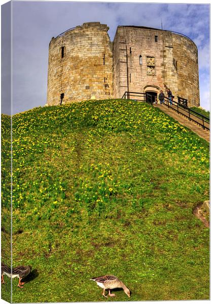 York Castle Keep Canvas Print by Tom Gomez