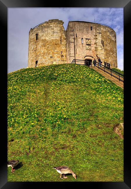 York Castle Keep Framed Print by Tom Gomez