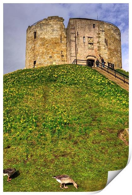 York Castle Keep Print by Tom Gomez