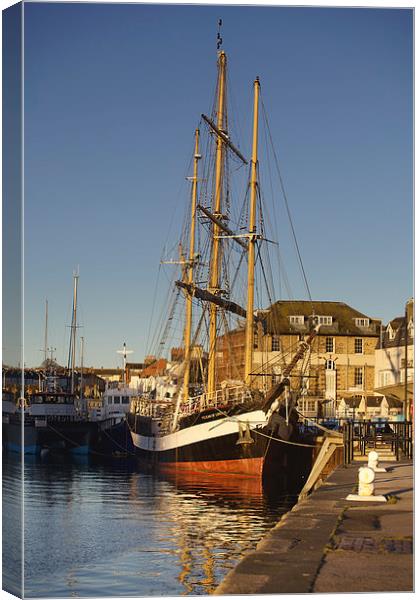 Pelican of London in Weymouth Canvas Print by Paul Brewer