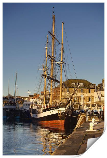 Pelican of London in Weymouth Print by Paul Brewer