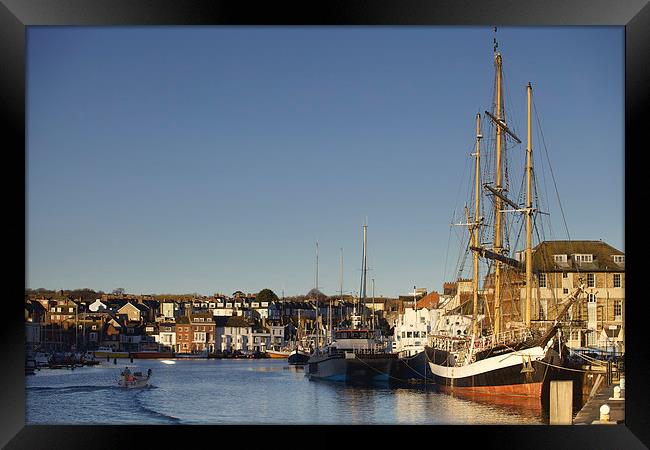 Pelican of London in Weymouth Harbour Framed Print by Paul Brewer