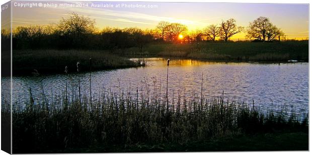 Sundown At Delamere Canvas Print by philip milner