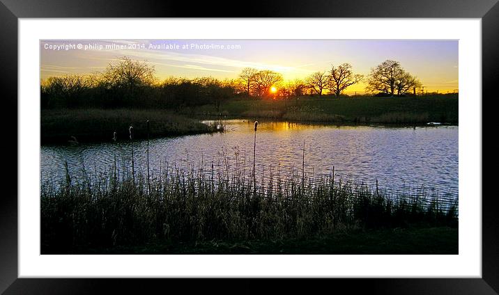 Sundown At Delamere Framed Mounted Print by philip milner