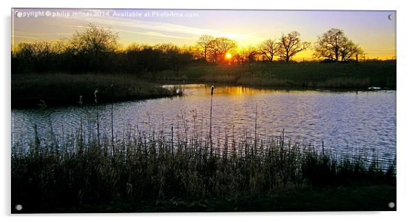 Sundown At Delamere Acrylic by philip milner