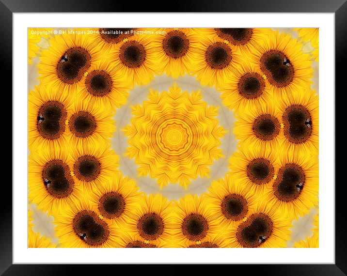Sunflower Abstract Framed Mounted Print by Bel Menpes