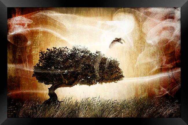 The magic tree Framed Print by Guido Parmiggiani