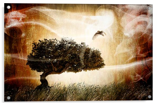 The magic tree Acrylic by Guido Parmiggiani