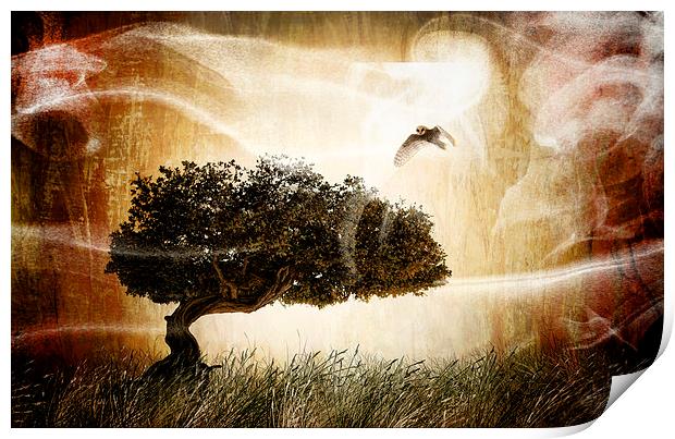 The magic tree Print by Guido Parmiggiani