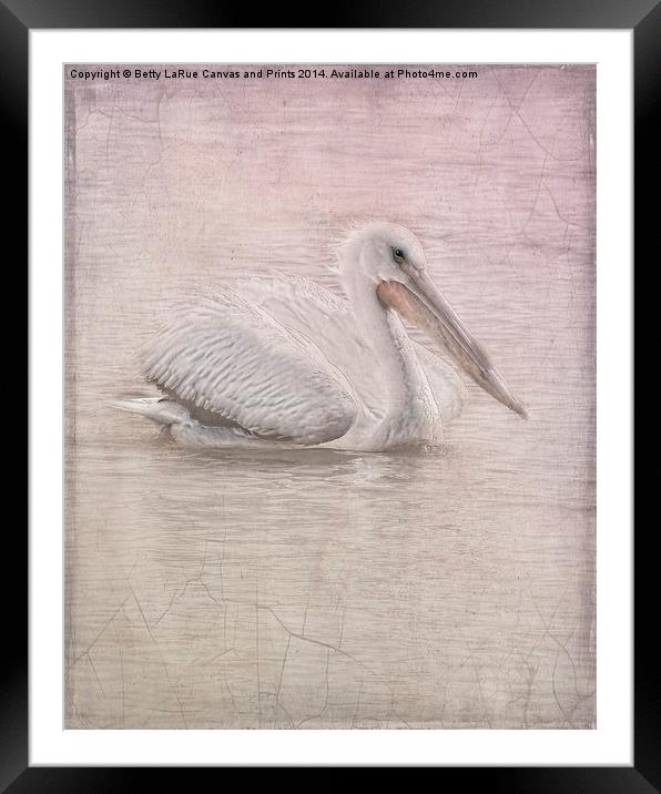 Pelican in Pastel Framed Mounted Print by Betty LaRue