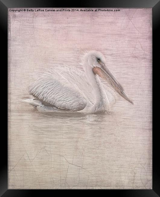 Pelican in Pastel Framed Print by Betty LaRue