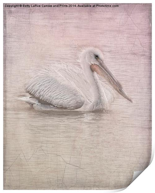 Pelican in Pastel Print by Betty LaRue