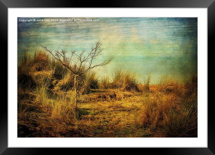 Beach Tree Framed Mounted Print by Julie Coe