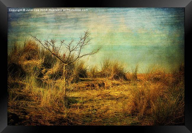 Beach Tree Framed Print by Julie Coe
