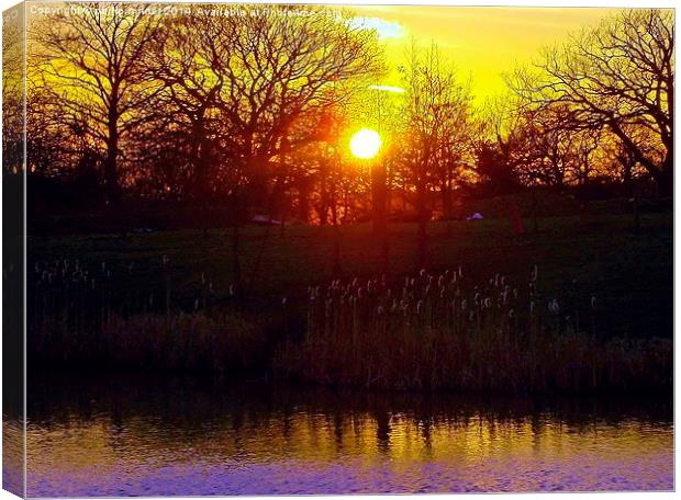 Sunset Over Delamere Canvas Print by philip milner