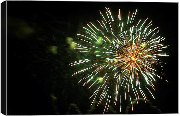 JST2996 Fireworks Canvas Print by Jim Tampin