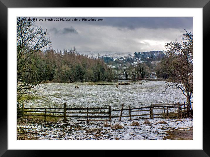 Winter in Swaledale Framed Mounted Print by Trevor Kersley RIP