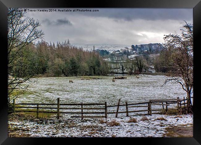 Winter in Swaledale Framed Print by Trevor Kersley RIP