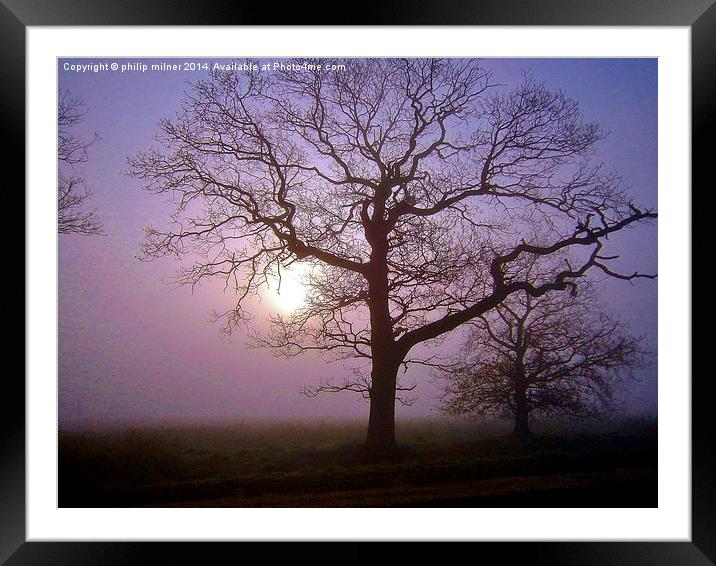 Trees Fog And Sunshine Framed Mounted Print by philip milner
