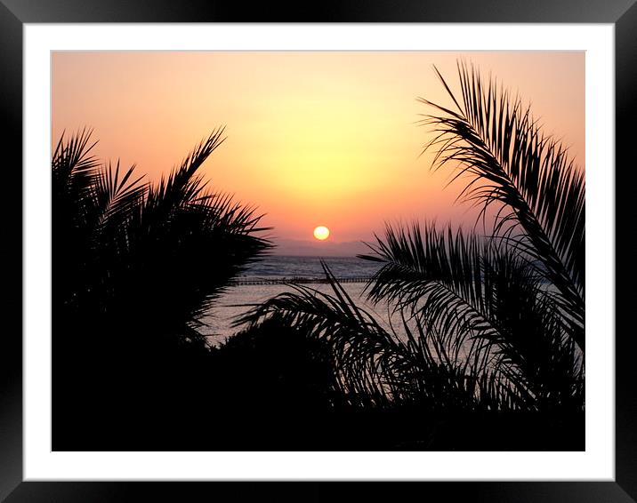 sunrise and palms Framed Mounted Print by caroline hearns