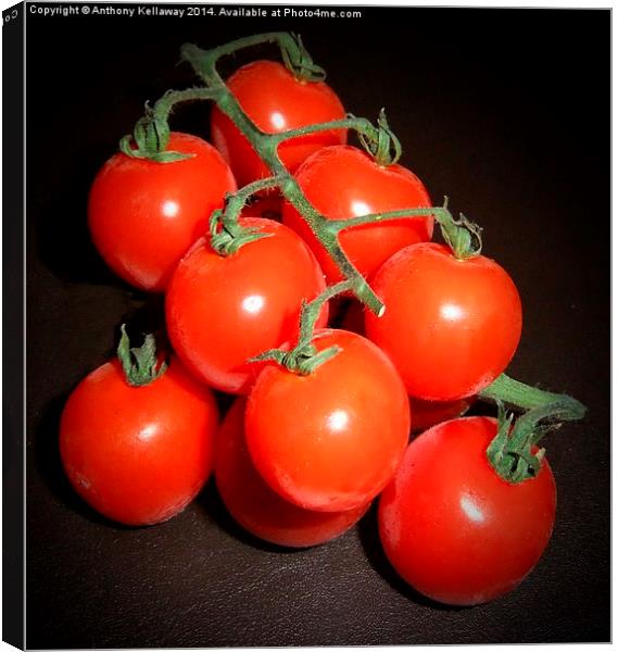 CHERRY TOMATOES Canvas Print by Anthony Kellaway