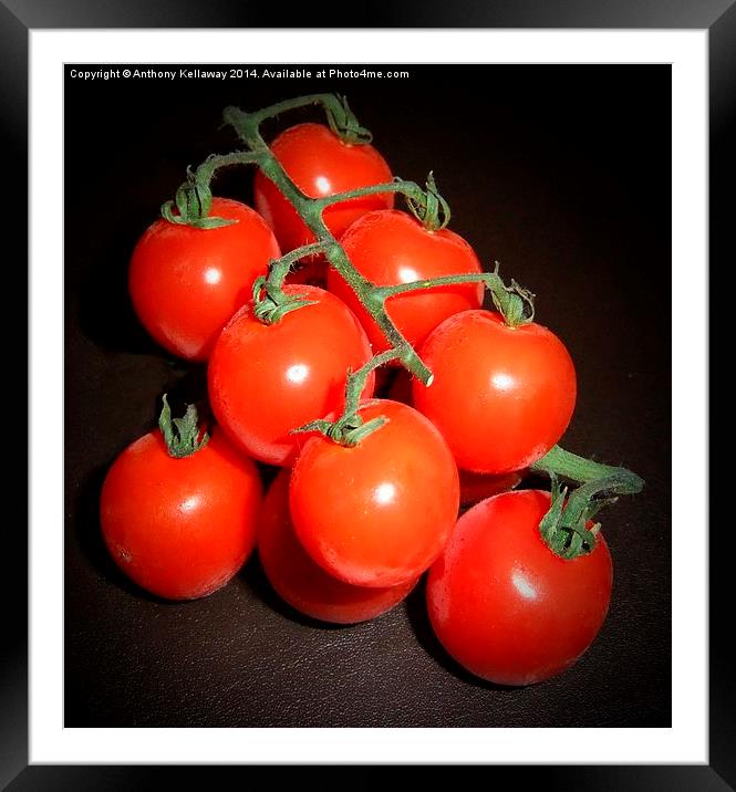 CHERRY TOMATOES Framed Mounted Print by Anthony Kellaway