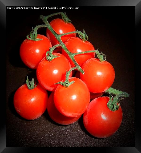 CHERRY TOMATOES Framed Print by Anthony Kellaway