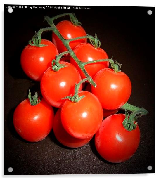 CHERRY TOMATOES Acrylic by Anthony Kellaway