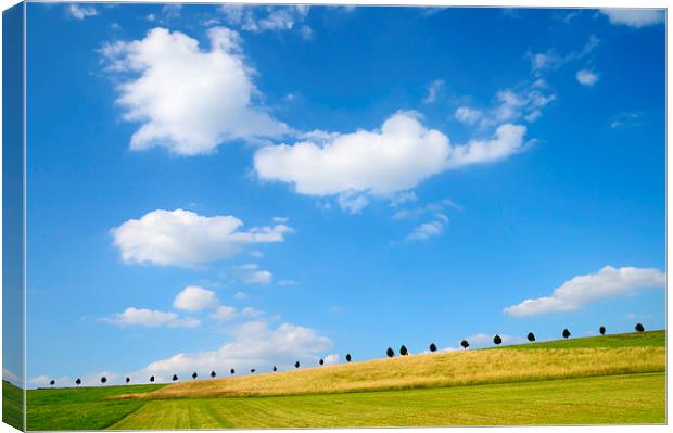 Summer landscape with blue sky Canvas Print by Matthias Hauser