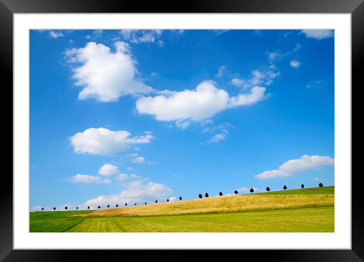 Summer landscape with blue sky Framed Mounted Print by Matthias Hauser