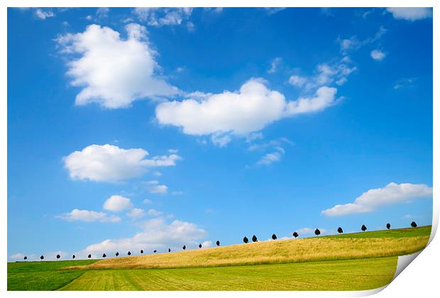 Summer landscape with blue sky Print by Matthias Hauser