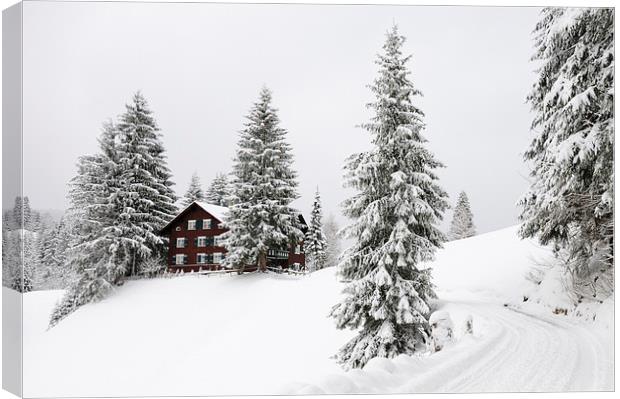 Trees and house in winter Canvas Print by Matthias Hauser
