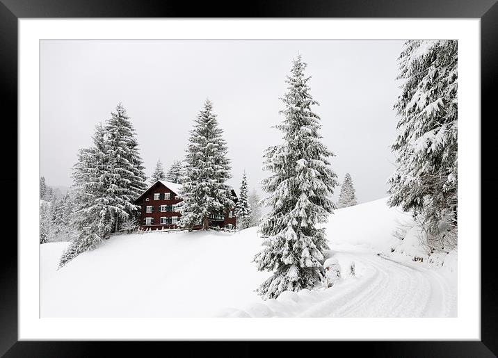 Trees and house in winter Framed Mounted Print by Matthias Hauser