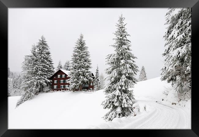 Trees and house in winter Framed Print by Matthias Hauser